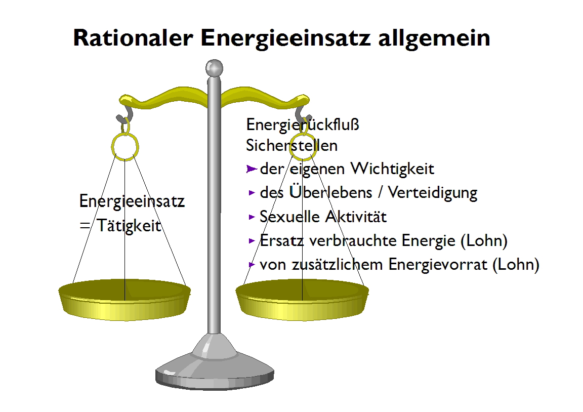 Rationaler Energieeinsatz.